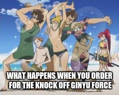 WHAT HAPPENS WHEN YOU ORDER FOR THE KNOCK OFF GINYU FORCE | image tagged in anime | made w/ Imgflip meme maker