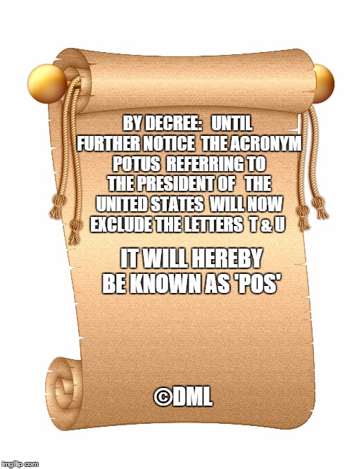 THE DONALD |  BY DECREE:
  UNTIL FURTHER NOTICE
 THE ACRONYM POTUS
 REFERRING TO THE PRESIDENT OF 
 THE UNITED STATES
 WILL NOW EXCLUDE THE LETTERS  T & U; IT WILL HEREBY BE KNOWN AS 'POS'; ©DML | image tagged in donald trump,president,potus | made w/ Imgflip meme maker
