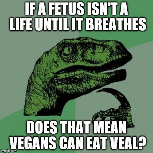 Philosoraptor | IF A FETUS ISN'T A LIFE UNTIL IT BREATHES; DOES THAT MEAN VEGANS CAN EAT VEAL? | image tagged in memes,philosoraptor | made w/ Imgflip meme maker