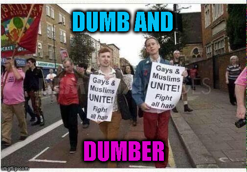 gays unite with muslims | DUMB AND; DUMBER | image tagged in gays unite with muslims | made w/ Imgflip meme maker