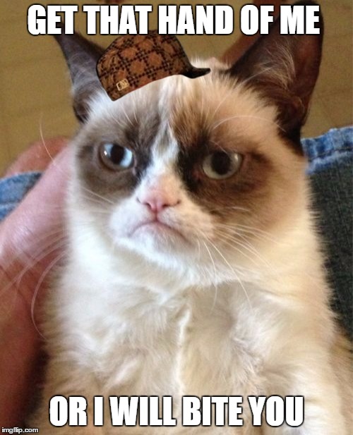 Grumpy Cat | GET THAT HAND OF ME; OR I WILL BITE YOU | image tagged in memes,grumpy cat,scumbag | made w/ Imgflip meme maker