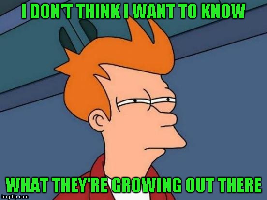 Futurama Fry Meme | I DON'T THINK I WANT TO KNOW WHAT THEY'RE GROWING OUT THERE | image tagged in memes,futurama fry | made w/ Imgflip meme maker