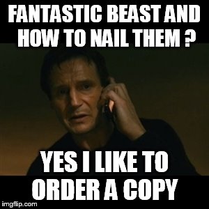 Liam Neeson Taken Meme | FANTASTIC BEAST AND HOW TO NAIL THEM ? YES I LIKE TO ORDER A COPY | image tagged in memes,liam neeson taken | made w/ Imgflip meme maker