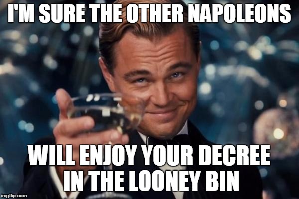 Leonardo Dicaprio Cheers Meme | I'M SURE THE OTHER NAPOLEONS WILL ENJOY YOUR DECREE IN THE LOONEY BIN | image tagged in memes,leonardo dicaprio cheers | made w/ Imgflip meme maker