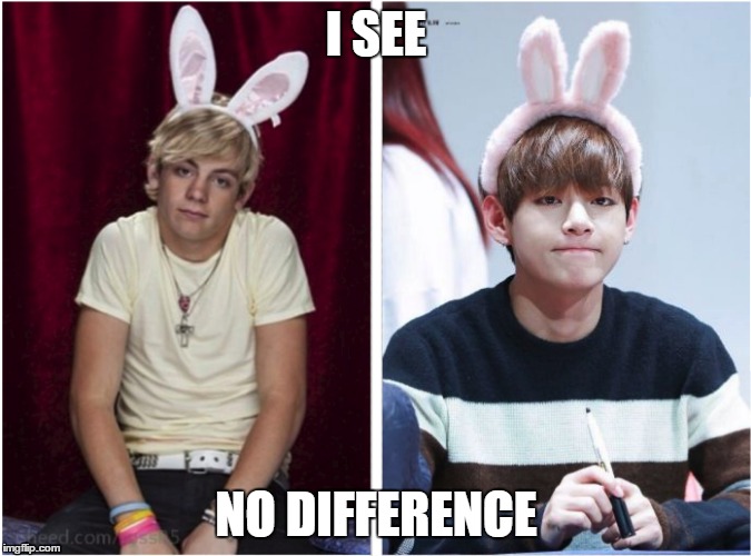v ross bunny | I SEE; NO DIFFERENCE | image tagged in ross lynch,v,bts,bunny,i see no difference | made w/ Imgflip meme maker