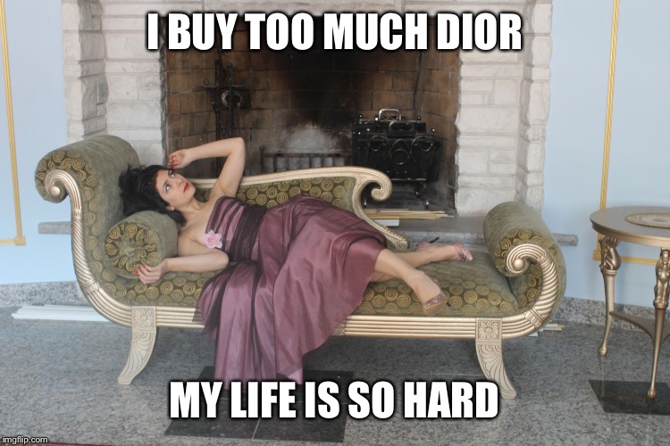 1% girl | I BUY TOO MUCH DIOR; MY LIFE IS SO HARD | image tagged in 1 girl | made w/ Imgflip meme maker