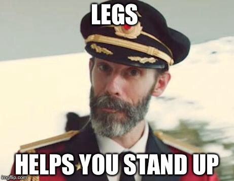 Captain Obvious | LEGS; HELPS YOU STAND UP | image tagged in captain obvious | made w/ Imgflip meme maker