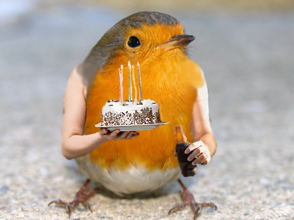 Birthday bird with arms Blank Meme Template