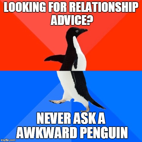 Socially Awesome Awkward Penguin Meme | LOOKING FOR RELATIONSHIP ADVICE? NEVER ASK A AWKWARD PENGUIN | image tagged in memes,socially awesome awkward penguin | made w/ Imgflip meme maker