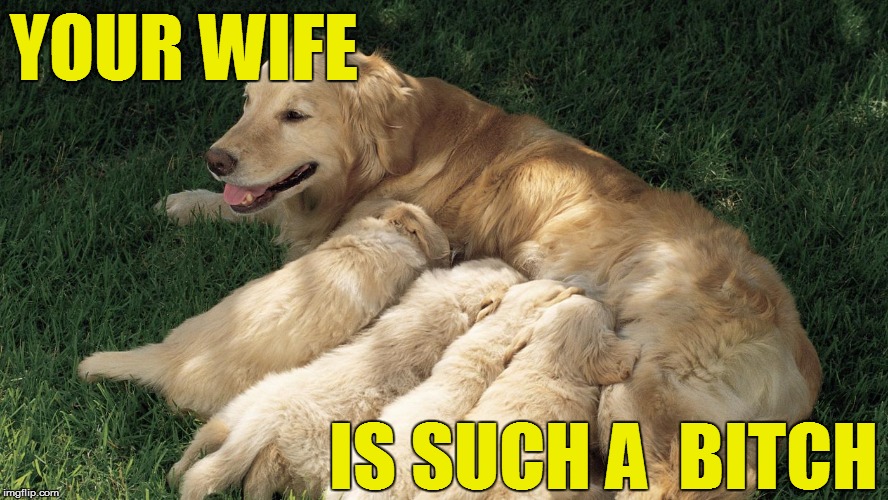 YOUR WIFE IS SUCH A  B**CH | made w/ Imgflip meme maker