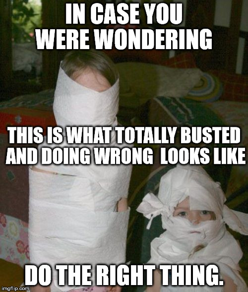 It's A Wrap | IN CASE YOU WERE WONDERING; THIS IS WHAT TOTALLY BUSTED AND DOING WRONG  LOOKS LIKE; DO THE RIGHT THING. | image tagged in totally busted,busted,it wasn't me | made w/ Imgflip meme maker