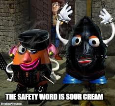 THE SAFETY WORD IS SOUR CREAM | made w/ Imgflip meme maker