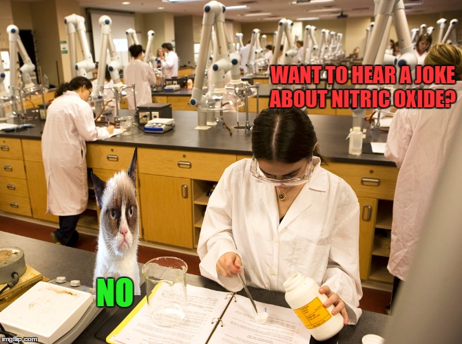 What If Grumpy Cat Was A Scientist  | WANT TO HEAR A JOKE ABOUT NITRIC OXIDE? NO | image tagged in grumpy cat,lol,memes | made w/ Imgflip meme maker