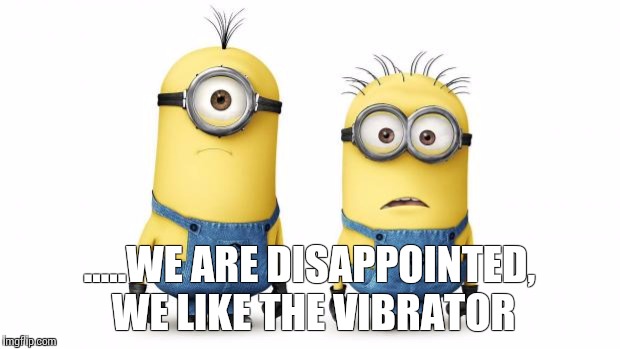 Minion Duo | .....WE ARE DISAPPOINTED, WE LIKE THE VIBRATOR | image tagged in minion duo | made w/ Imgflip meme maker