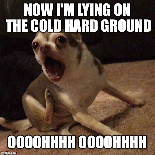 NOW I'M LYING ON THE COLD HARD GROUND; OOOOHHHH OOOOHHHH | made w/ Imgflip meme maker