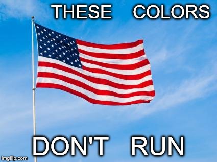 American Flag | THESE    COLORS; DON'T   RUN | image tagged in american flag | made w/ Imgflip meme maker