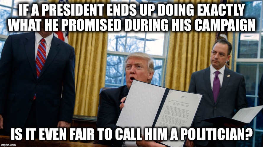 Not your typical politician  | IF A PRESIDENT ENDS UP DOING EXACTLY WHAT HE PROMISED DURING HIS CAMPAIGN; IS IT EVEN FAIR TO CALL HIM A POLITICIAN? | image tagged in trump executive orders,politician,first 100 days | made w/ Imgflip meme maker