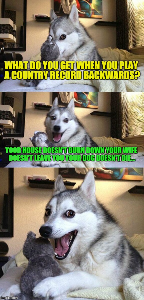 Bad Pun Dog Meme | WHAT DO YOU GET WHEN YOU PLAY A COUNTRY RECORD BACKWARDS? YOOR HOUSE DOESN'T BURN DOWN YOUR WIFE DOESN'T LEAVE YOU YOUR DOG DOESN'T DIE... | image tagged in memes,bad pun dog | made w/ Imgflip meme maker