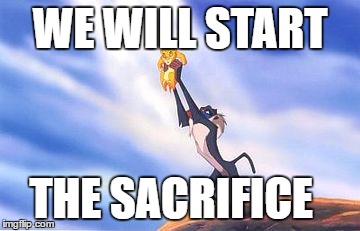 Sacrifice Simba  | WE WILL START; THE SACRIFICE | image tagged in sacrifice simba | made w/ Imgflip meme maker