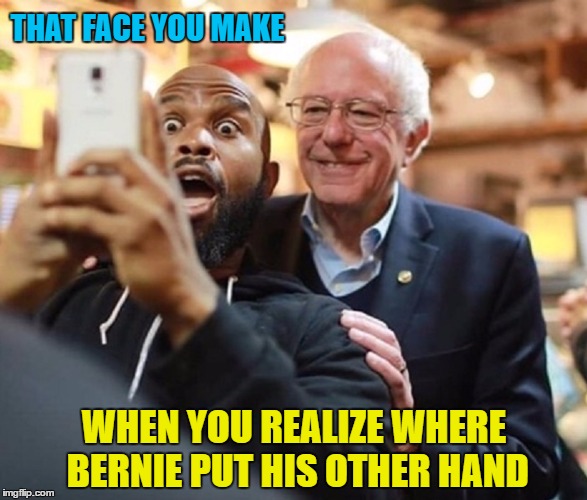 That Face You Make... | THAT FACE YOU MAKE; WHEN YOU REALIZE WHERE BERNIE PUT HIS OTHER HAND | image tagged in funny memes,wmp,bernie sanders,goose | made w/ Imgflip meme maker