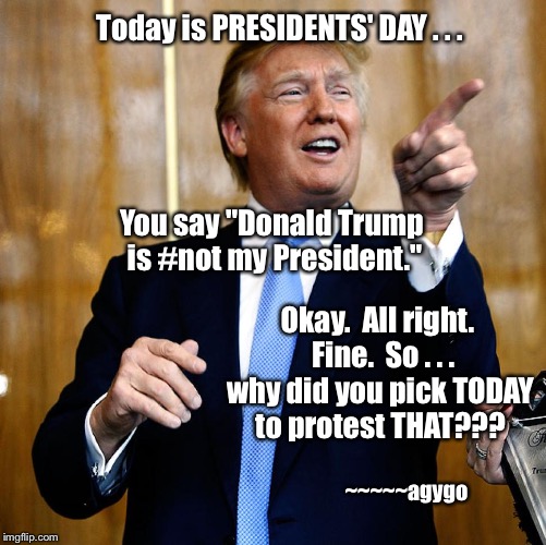 Presidents' Day | Today is PRESIDENTS' DAY . . . You say "Donald Trump is #not my President."; Okay.  All right.  Fine.  So . . . why did you pick TODAY to protest THAT??? ~~~~~agygo | image tagged in meme,45 donald trump,protests | made w/ Imgflip meme maker