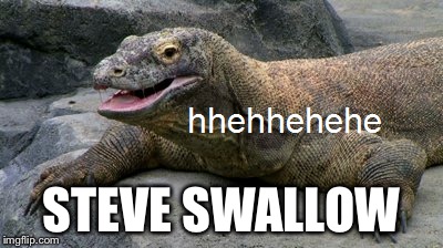 STEVE SWALLOW | made w/ Imgflip meme maker