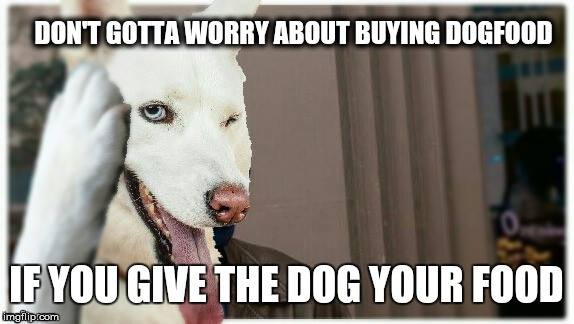 Roll Safe Dog | image tagged in roll safe,roll safe think about it,funny dogs,dog | made w/ Imgflip meme maker