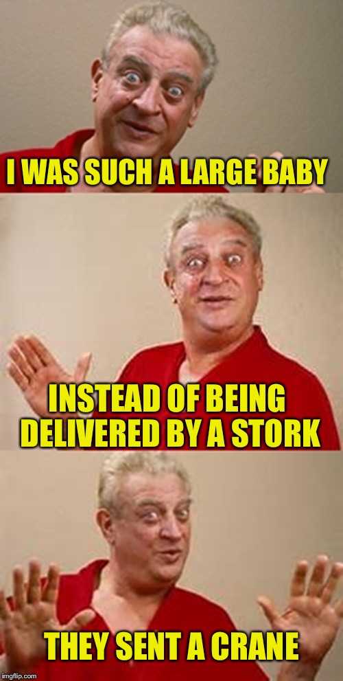bad pun Dangerfield  | I WAS SUCH A LARGE BABY; INSTEAD OF BEING DELIVERED BY A STORK; THEY SENT A CRANE | image tagged in bad pun dangerfield | made w/ Imgflip meme maker