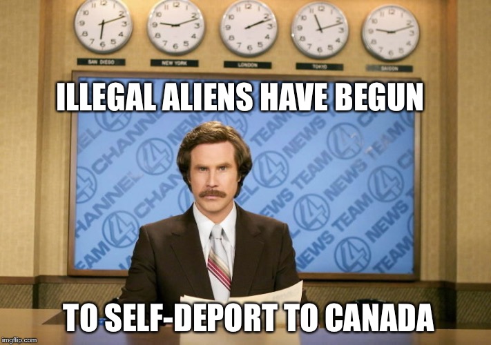This just in | ILLEGAL ALIENS HAVE BEGUN; TO SELF-DEPORT TO CANADA | image tagged in this just in | made w/ Imgflip meme maker