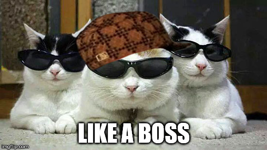 Like a Boss | LIKE A BOSS | image tagged in like a boss | made w/ Imgflip meme maker
