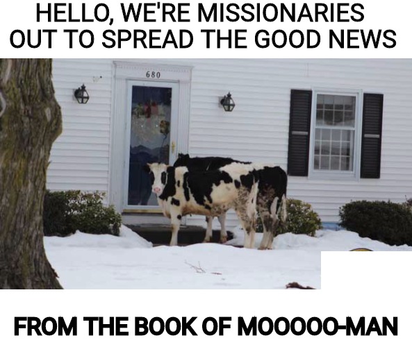 At least they weren't from the Jawa Witnesses | HELLO, WE'RE MISSIONARIES OUT TO SPREAD THE GOOD NEWS; FROM THE BOOK OF MOOOOO-MAN | image tagged in cows,religion,missionaries | made w/ Imgflip meme maker