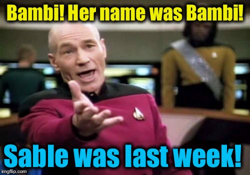 Picard Wtf Meme | Bambi! Her name was Bambi! Sable was last week! | image tagged in memes,picard wtf | made w/ Imgflip meme maker