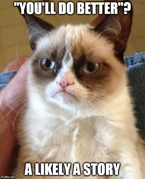 Grumpy Cat Meme | "YOU'LL DO BETTER"? A LIKELY A STORY | image tagged in memes,grumpy cat | made w/ Imgflip meme maker