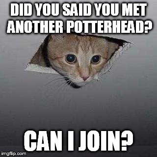 Ceiling Cat Meme | DID YOU SAID YOU MET ANOTHER POTTERHEAD? CAN I JOIN? | image tagged in memes,ceiling cat | made w/ Imgflip meme maker