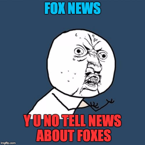 another akward news meme | FOX NEWS; Y U NO TELL NEWS ABOUT FOXES | image tagged in memes,y u no | made w/ Imgflip meme maker