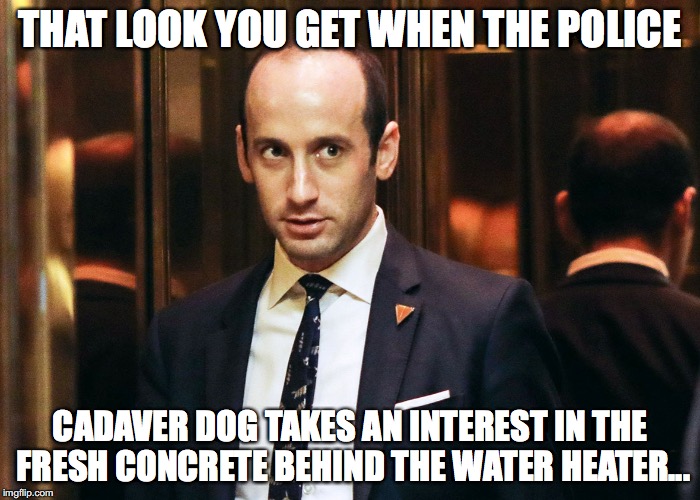 stephen miller | THAT LOOK YOU GET WHEN THE POLICE; CADAVER DOG TAKES AN INTEREST IN THE FRESH CONCRETE BEHIND THE WATER HEATER... | image tagged in stephen miller | made w/ Imgflip meme maker