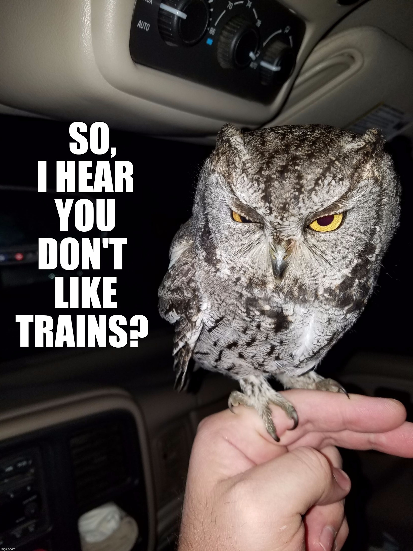 SO,  I HEAR  YOU DON'T  LIKE TRAINS? | made w/ Imgflip meme maker