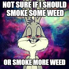 Dont think i have much of a choice . .. | NOT SURE IF I SHOULD SMOKE SOME WEED; OR SMOKE MORE WEED | image tagged in memes,bad bugs bunny pun,weed,blaze it,420 blaze it,stoned | made w/ Imgflip meme maker