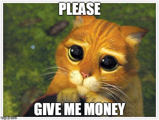 Shrek Cat | PLEASE; GIVE ME MONEY | image tagged in memes,shrek cat | made w/ Imgflip meme maker