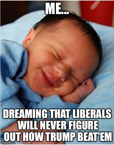 How did he do it? | ME... DREAMING THAT LIBERALS WILL NEVER FIGURE OUT HOW TRUMP BEAT'EM | image tagged in baby sleeping 2 | made w/ Imgflip meme maker