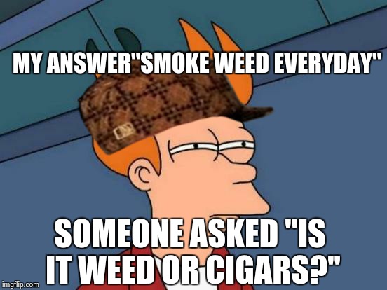 Futurama Fry Meme | MY ANSWER"SMOKE WEED EVERYDAY"; SOMEONE ASKED "IS IT WEED OR CIGARS?" | image tagged in memes,futurama fry,scumbag | made w/ Imgflip meme maker