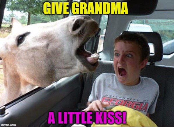 Just a Little Kiss | GIVE GRANDMA; A LITTLE KISS! | image tagged in funny memes,wmp,grandma,horrified,grossed out | made w/ Imgflip meme maker