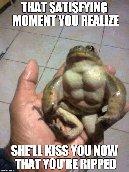 True that he's no Prince Charming.... | THAT SATISFYING MOMENT YOU REALIZE; SHE'LL KISS YOU NOW THAT YOU'RE RIPPED | image tagged in muscle frog,funny,muscles,workout,memes | made w/ Imgflip meme maker