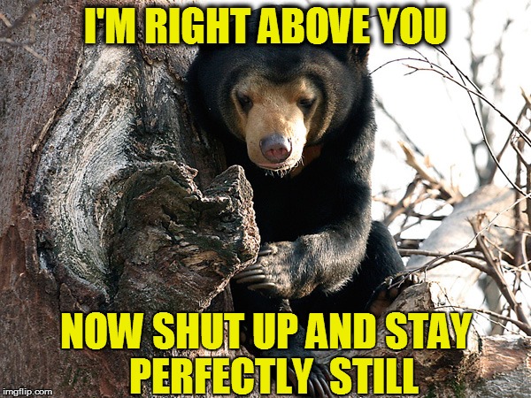I'M RIGHT ABOVE YOU NOW SHUT UP AND STAY  PERFECTLY  STILL | made w/ Imgflip meme maker