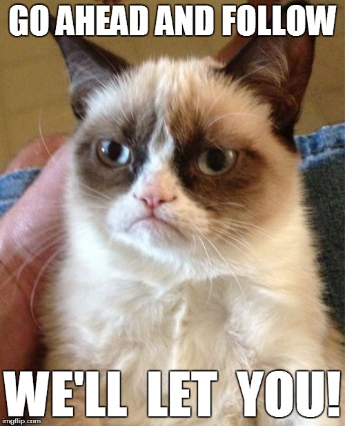 Grumpy Cat Meme | GO AHEAD AND FOLLOW WE'LL  LET  YOU! | image tagged in memes,grumpy cat | made w/ Imgflip meme maker