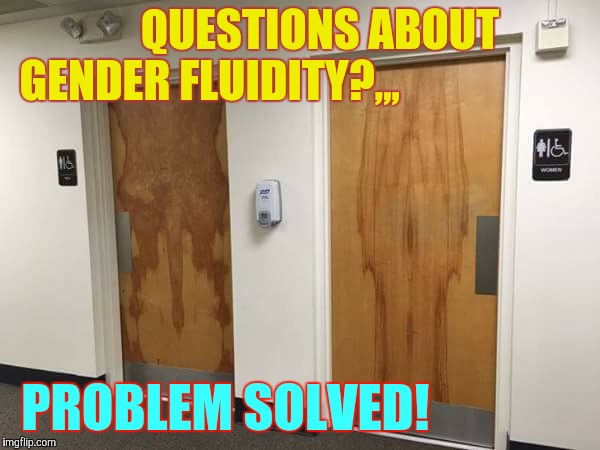 Mystery Solved,,, | QUESTIONS ABOUT  GENDER FLUIDITY?,,, PROBLEM SOLVED! | image tagged in meme,gender confusion,gender identity,bathroom humor,can you see it | made w/ Imgflip meme maker