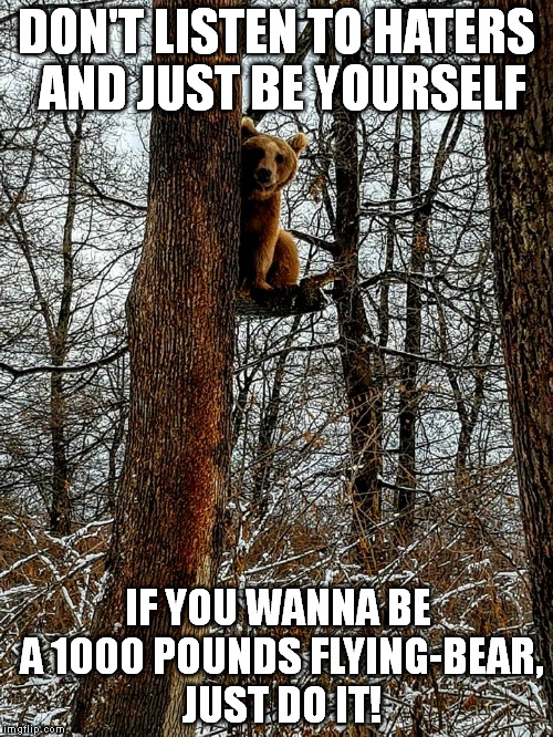 Flying bear | DON'T LISTEN TO HATERS AND JUST BE YOURSELF; IF YOU WANNA BE A 1000 POUNDS FLYING-BEAR, JUST DO IT! | image tagged in flying,bear,bad idea,animals,be yourself | made w/ Imgflip meme maker
