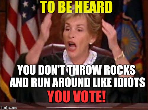 Don't Be An Idiot! | TO BE HEARD; YOU DON'T THROW ROCKS AND RUN AROUND LIKE IDIOTS; YOU VOTE! | image tagged in judge judy,protesters,lol so funny,political,voting,angry woman | made w/ Imgflip meme maker