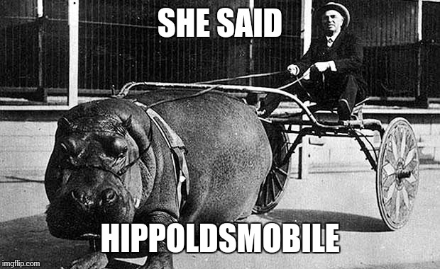SHE SAID; HIPPOLDSMOBILE | image tagged in memes | made w/ Imgflip meme maker
