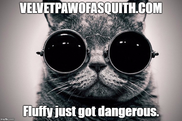 The Velvet Paw of Asquith Novels | VELVETPAWOFASQUITH.COM; Fluffy just got dangerous. | image tagged in cat,novel,dooven,thomas corfield,velvet paw,spy | made w/ Imgflip meme maker